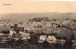 BIRKENFELD VUE GENERALE - Birkenfeld (Nahe)