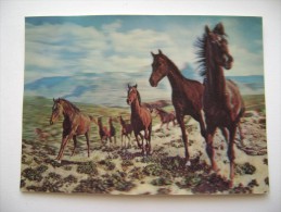 Wild West City, Netcong NJ   CHEVAL  CAVALLO  CAVALLI 3D TRIDIMENSIONALE  CARTE VISIORELIEF NON  VIAGGIATA  COME DA FOTO - Paterson