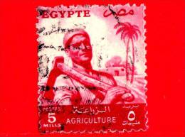 EGITTO - Usato - 1955 - Agricoltura - Contadino - Farmer - 5 - Usados