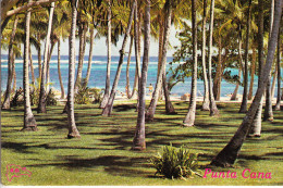 REPUBLICA DOMINICANA, Playa Punta Cana - Repubblica Dominicana