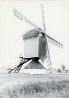 RETIE (Antw.) - Molen/moulin/mill - Oudere Opname Van De Nog Bestaande Molen De Heerser, Ca. 1975 - Retie