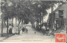 BALLAN : Avenue Des Acacias - Ballan-Miré