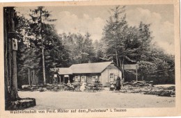 WALDWIRTSCHAFT VON FERD . MULLER AUF DEN FUCHSTANZ I TAUNUS - Taunus