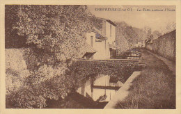 Delcampe - Chevreuse 78 - Petits Ponts Sur L'Yvette - Chevreuse