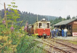 PONT D'EREZEE VIEUX TRAM EREZEE_DOCHAMPS - Erezée