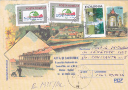 CRICKET STAMPS ON COVER STATIONERY 2003  ROMANIA - Lettres & Documents