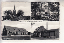 4426 VREDEN - AMMELOE, Molkerei - Schule - Kirche - Ehrenmal, 1959 - Vreden