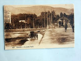 Carte Postale Ancienne : DAMAS : Le Jardin Public, Animé - Syrie