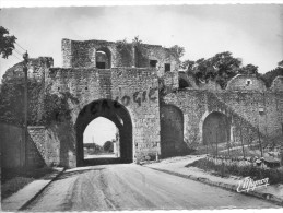 77 - PROVINS - LA PORTE SAINT JEAN - Provins