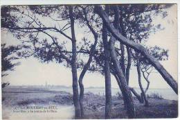 44. LES MOUTIERS EN RETZ . SOUS BOIS A LA POINTE DE LA BAIE . Editeur NOZAIS - Les Moutiers-en-Retz