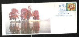 INDIA, 2011, SPECIAL COVER,  Char Chinar,  Four Chinar TreesGreetings Stamp, Srinagar  Cancelled - Cartas & Documentos