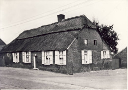 Geel-Bel Oude Kempische Hoeve - Geel