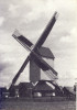 Geel Molen Elsum - Geel