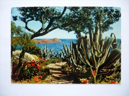 Cpsm Grand Format - Plantes éxotiques - Reflets De La Côte D'Azur  - MONTE-CARLO - Jardín Exótico