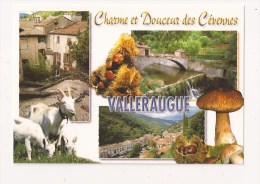 ( 30 ) VALLERAUGUE - Valleraugue