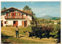 ESPELETTE - Vue Générale, Dans Le Lointain La Rhune - Yvon 11096 - Non Circulée - Trou De Punaise - - Espelette