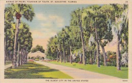 The Oldest City In The United States Avenue Of Palms Fountain Saint Augustine Florida - St Augustine