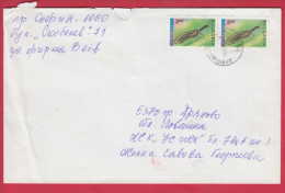 180844 / 1994 - 2 + 2 = 4.00 Leva - ISECT Kamelhalsfliege ( Raphidia Notata ) Snakefly Raphidioptera DRYANOVO Bulgaria - Cartas & Documentos