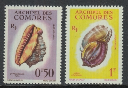 Comoro Islands 1962 Definitives: Sea Snails. Part Set Low Values 42-43 MNH - Unused Stamps