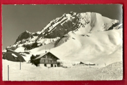 EZOB-20  Adelboden  Berghotel Engstligenalp - Adelboden
