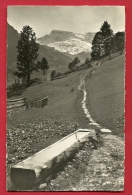 EZOB-22  Brunnen Bei  Adelboden  Mi Wildstrubel . Gelaufen In 1948 - Adelboden