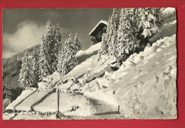 EZOB-23  Adelboden Fluhüsl . Gelaufen In 1944 - Adelboden