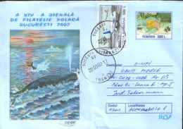 Romania - Postal Stationery Cover 2002 Used - Southern Whales - Antarktischen Tierwelt