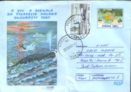 Romania - Postal Stationery Cover 2002 Used - Southern Whales - Fauna Antártica