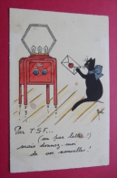 Cp Chat + Lettre " Par T S F Ou Par Lette ...signe Renee - Attwell, M. L.