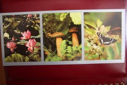 Primorie. Vladivostok Region   - USSR Postcard 1980s -  Mushroom Champignon - Mushrooms