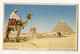 Ref 196 - EGYPTE - Sphinx Et Cairo - GISEH - Photo De La TWA ( Trans World Airlines ) - Scan Du Verso - Gizeh