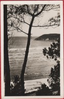 22 SAINT MICHEL EN GREVE Un Coin De La Plage Postée De ST MICHEL En 1950 - JOLIE PHOTO GLACEE - R/V - Saint-Michel-en-Grève