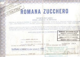 Romana Zucchero S.p.a. Certificato Azionario 1966 Doc.134 - P - R