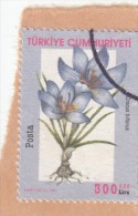 Turchia  - 1 Val. Used - Altri & Non Classificati