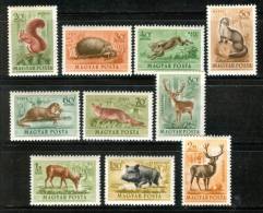 HUNGARY - 1953. AIR - Animals / Fox,Rabbit,Hedgehog,Dear Cpl.Set MNH!!! Mi 1285-1294. - Nuevos