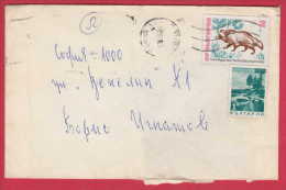 180900 / 1980 -  2 + 1 3 St. - The Raccoon Dog ( Nyctereutes Procyonoides ) , SMOLYAN LAKE , SOFIA Bulgaria Bulgarie - Covers & Documents