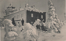 AK Fichtelberg Hörnerschlittenfahrt Hörnerschlitten Erzgebirge Winter Oberwiesenthal Rodelbahn Schlitten Bei Annaberg - Oberwiesenthal