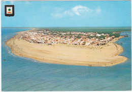 Gf. HUELVA. Playa De Punta Umbria. Vista Aerea. 1424 - Huelva