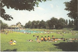 CP Belgique - Bruxelles Evere - Le Solarium - Piscine - Evere