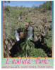 (209) Australia - NT - Litchfield Waterfall - Zonder Classificatie