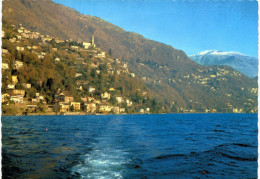 Suisse - Ronco E Porto Di Ronco - Ronco Sopra Ascona