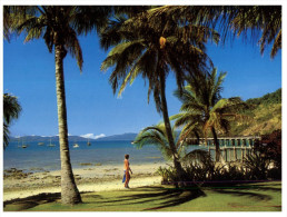 (379) Australia - Coconut Tree On Beach - Árboles