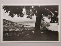 Schloss Arenenberg, Blick Von Der Westterrasse - Other & Unclassified