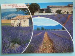 V08-30-gard-les Belles Images De Provence-champs De Lavande--obliteration-uzes- - Rochefort-du-Gard