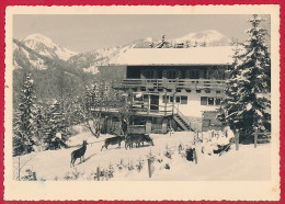 Foto-AK ´Rottach-Egern' (LK Miesbach) ~ 1958 - Miesbach