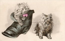 Chats Dans Soullier - Dressed Animals