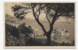 MONACO - MONTE CARLO - N°  105 - VUE D' ENSEMBLE - CARTE FORMAT CPA NON VOYAGEE - Musée Océanographique