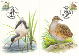 België, Maximumkaarten, 3478/3479, Kwartelkoning, Kluut, Râle Des Genêts, Avocette, Buzin (6393) - Perdrix, Cailles