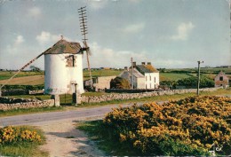 Le Vieux Moulin à Vent D'ERDEVEN - Erdeven