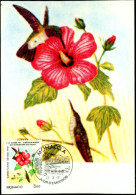 HUMMINGBIRDS-INTERNATIONAL SYMPOSIUM ON BIRD MIGRATION-BROAD TAILED HUMMINGBIRD-MONACO-1991-MAX CARD-FC-42-3 - Kolibries